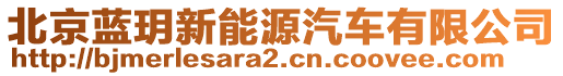 北京藍玥新能源汽車有限公司