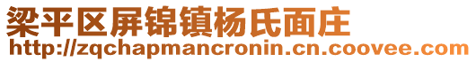 梁平區(qū)屏錦鎮(zhèn)楊氏面莊