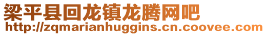 梁平縣回龍鎮(zhèn)龍騰網(wǎng)吧