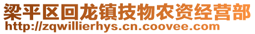 梁平區(qū)回龍鎮(zhèn)技物農(nóng)資經(jīng)營部