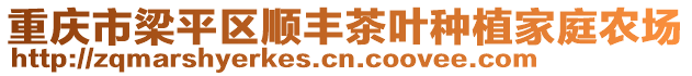 重慶市梁平區(qū)順豐茶葉種植家庭農(nóng)場(chǎng)