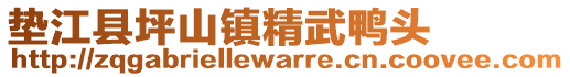 垫江县坪山镇精武鸭头