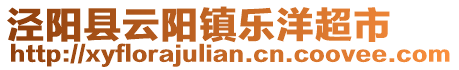 涇陽(yáng)縣云陽(yáng)鎮(zhèn)樂(lè)洋超市