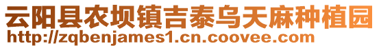 云陽縣農(nóng)壩鎮(zhèn)吉泰烏天麻種植園