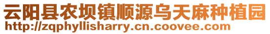 云陽(yáng)縣農(nóng)壩鎮(zhèn)順源烏天麻種植園