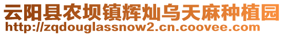 云陽縣農(nóng)壩鎮(zhèn)輝燦烏天麻種植園