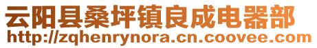 云陽縣桑坪鎮(zhèn)良成電器部