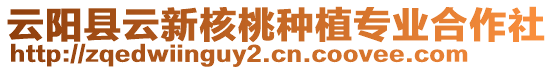 云陽縣云新核桃種植專業(yè)合作社