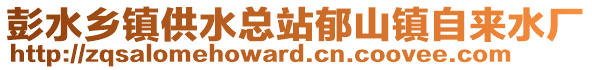 彭水鄉(xiāng)鎮(zhèn)供水總站郁山鎮(zhèn)自來水廠