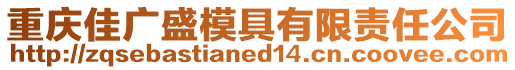 重慶佳廣盛模具有限責(zé)任公司