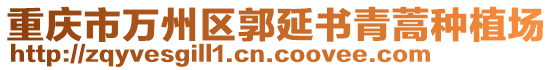 重慶市萬州區(qū)郭延書青蒿種植場