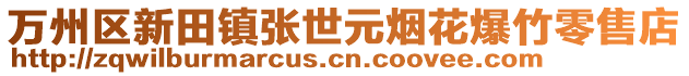 萬州區(qū)新田鎮(zhèn)張世元煙花爆竹零售店