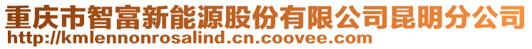 重慶市智富新能源股份有限公司昆明分公司