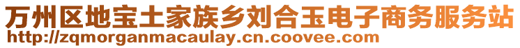 萬(wàn)州區(qū)地寶土家族鄉(xiāng)劉合玉電子商務(wù)服務(wù)站