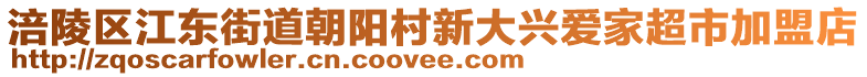 涪陵区江东街道朝阳村新大兴爱家超市加盟店