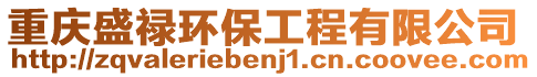 重慶盛祿環(huán)保工程有限公司