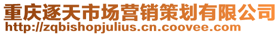 重慶逐天市場營銷策劃有限公司