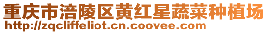 重慶市涪陵區(qū)黃紅星蔬菜種植場(chǎng)