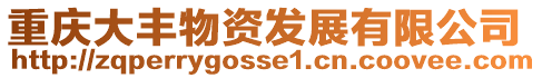 重慶大豐物資發展有限公司