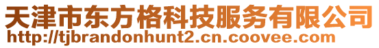 天津市東方格科技服務(wù)有限公司