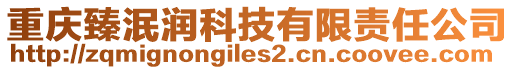 重慶臻泯潤科技有限責任公司