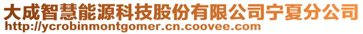 大成智慧能源科技股份有限公司寧夏分公司