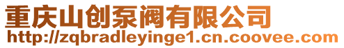 重慶山創泵閥有限公司