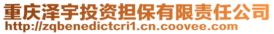 重慶澤宇投資擔保有限責任公司