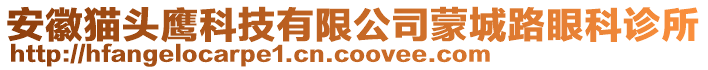 安徽貓頭鷹科技有限公司蒙城路眼科診所