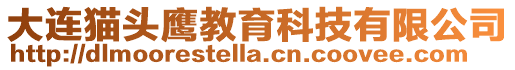 大連貓頭鷹教育科技有限公司