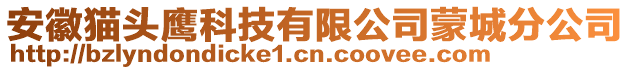 安徽貓頭鷹科技有限公司蒙城分公司