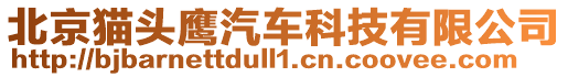 北京貓頭鷹汽車科技有限公司