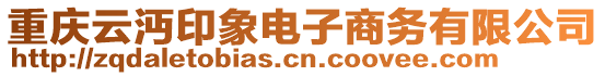 重慶云沔印象電子商務(wù)有限公司