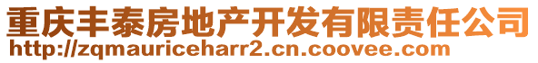 重慶豐泰房地產(chǎn)開(kāi)發(fā)有限責(zé)任公司