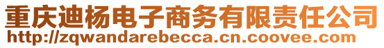 重慶迪楊電子商務有限責任公司