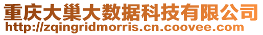 重慶大巢大數據科技有限公司