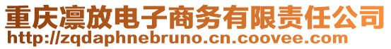 重慶凜放電子商務(wù)有限責(zé)任公司