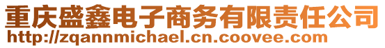 重慶盛鑫電子商務(wù)有限責任公司