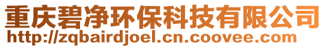 重慶碧凈環保科技有限公司