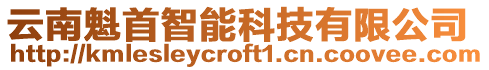 云南魁首智能科技有限公司