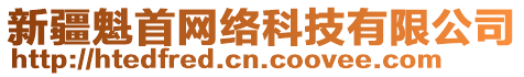 新疆魁首網絡科技有限公司