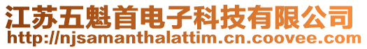 江苏五魁首电子科技有限公司