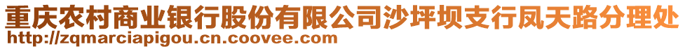 重慶農(nóng)村商業(yè)銀行股份有限公司沙坪壩支行鳳天路分理處