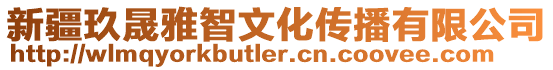 新疆玖晟雅智文化傳播有限公司