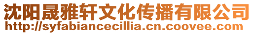 沈陽晟雅軒文化傳播有限公司