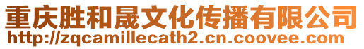 重慶勝和晟文化傳播有限公司