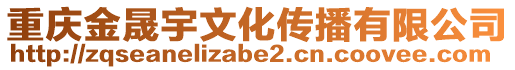 重慶金晟宇文化傳播有限公司