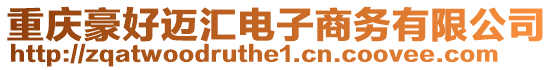重慶豪好邁匯電子商務(wù)有限公司