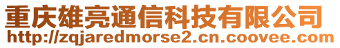 重庆雄亮通信科技有限公司