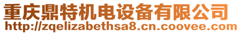 重慶鼎特機(jī)電設(shè)備有限公司